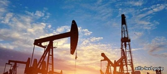 Cписок нефтегазовых форумов, выставок и конференций в 2025 году