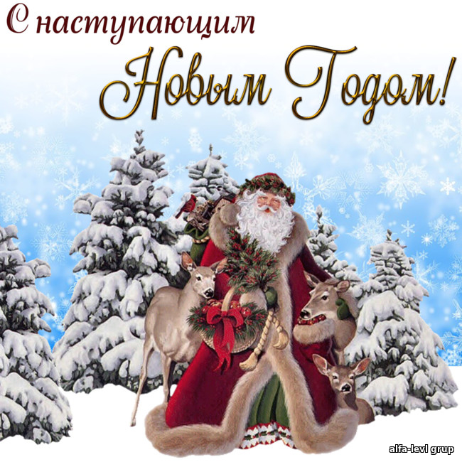 С наступающим новым годом!